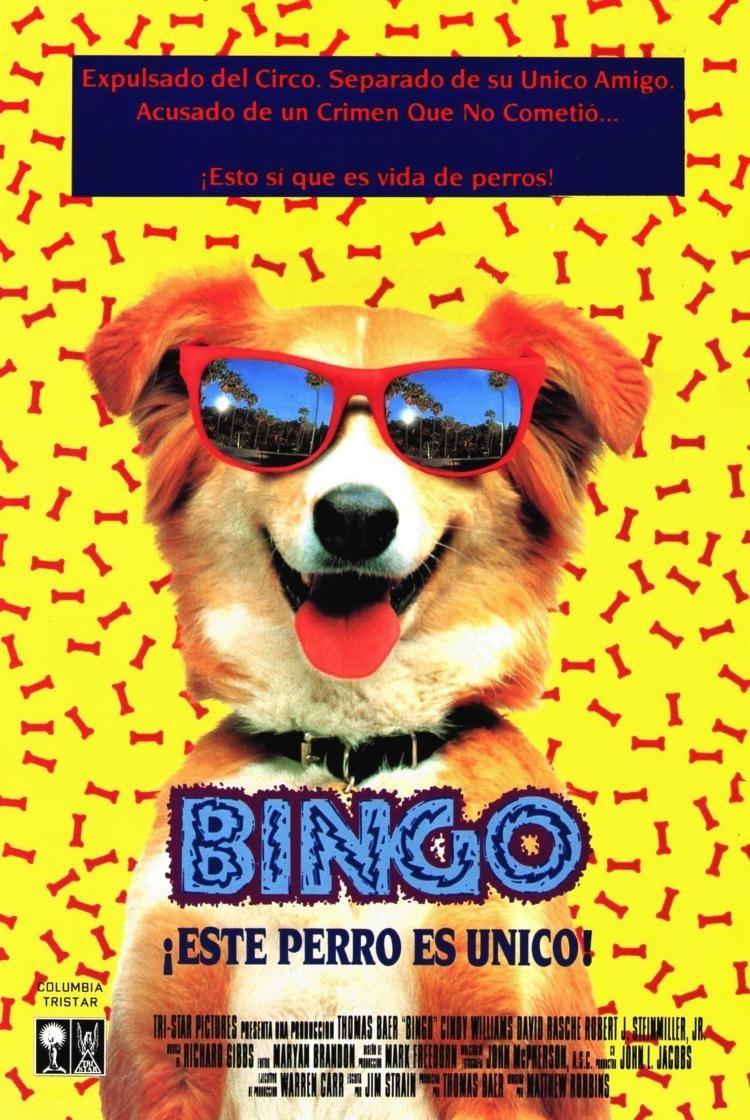 bingo 1991