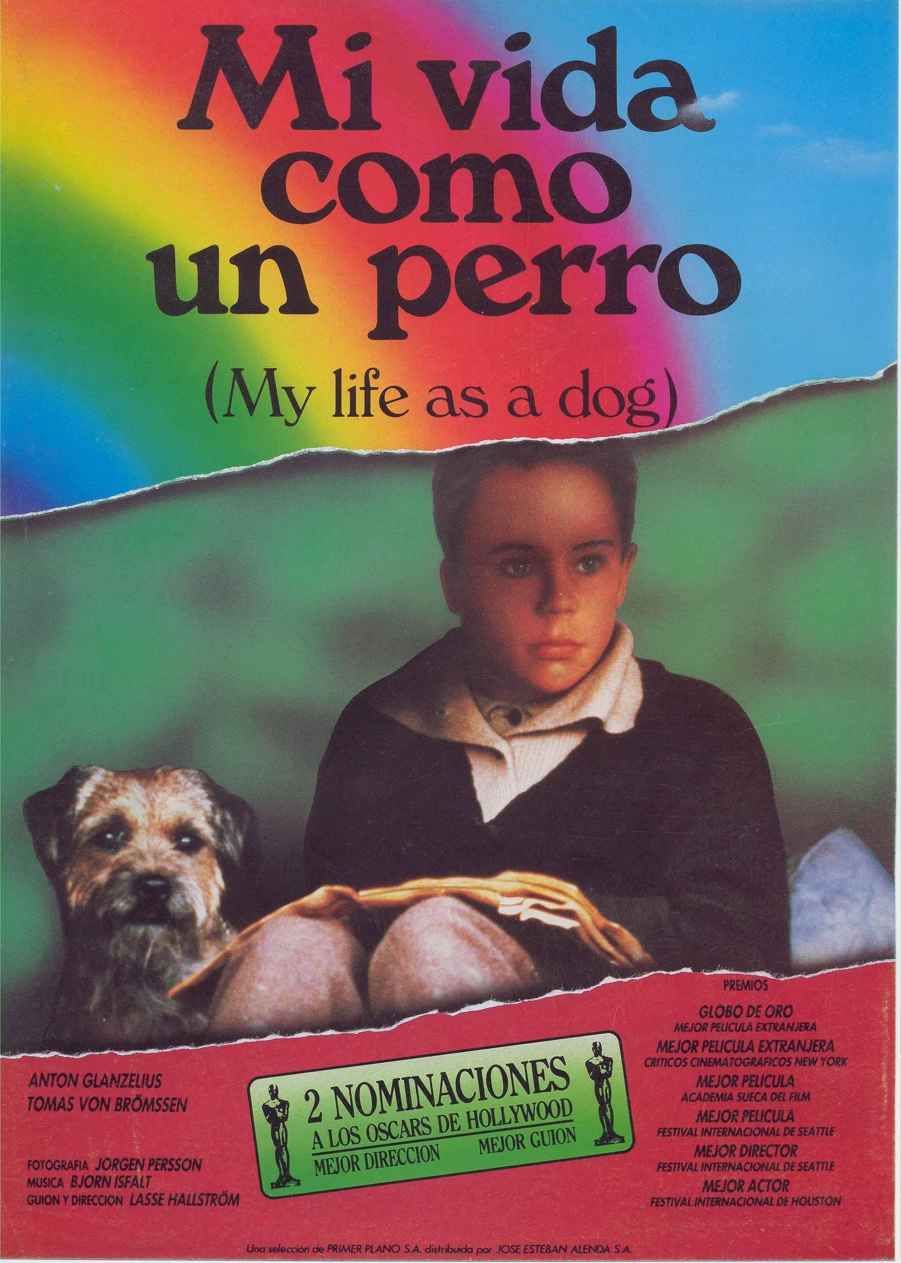 Постер фильма Моя собачья жизнь | Mitt liv som hund