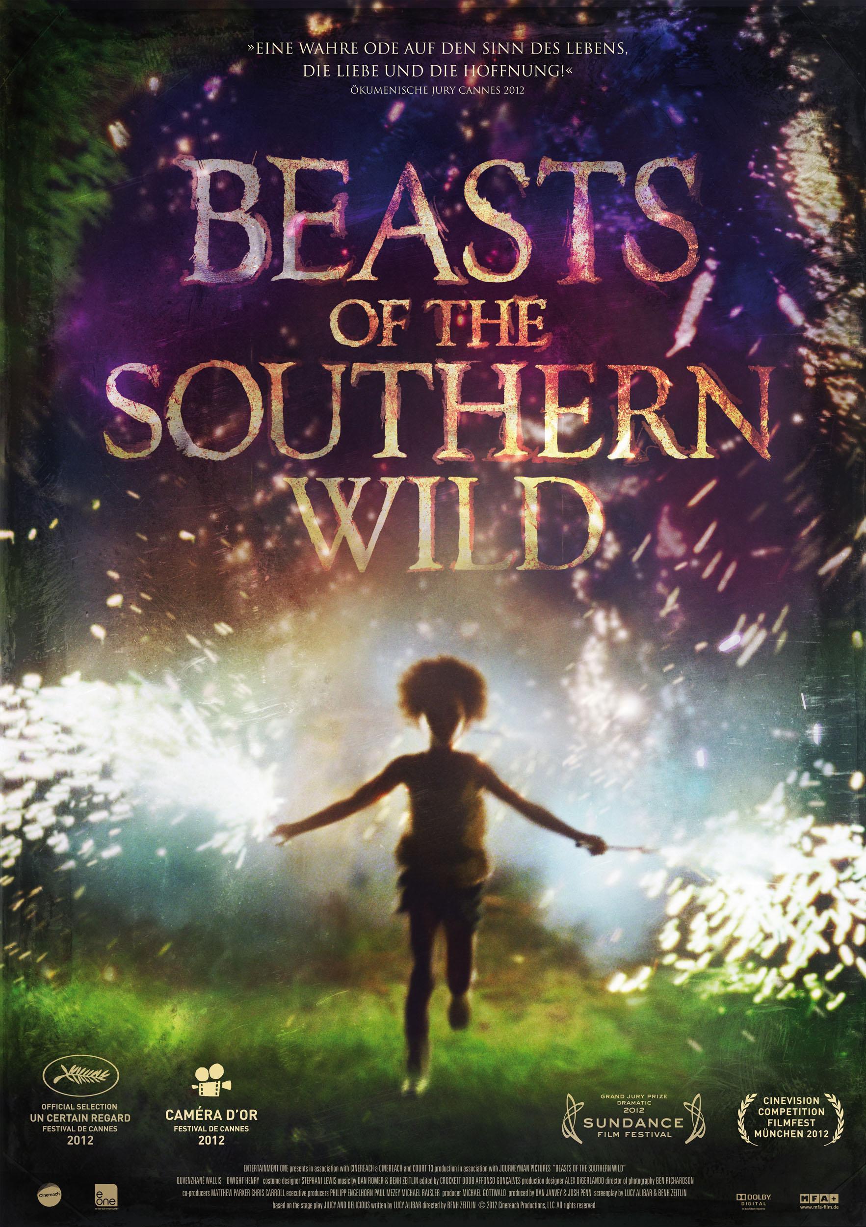 Постер фильма Звери дикого юга | Beasts of the Southern Wild