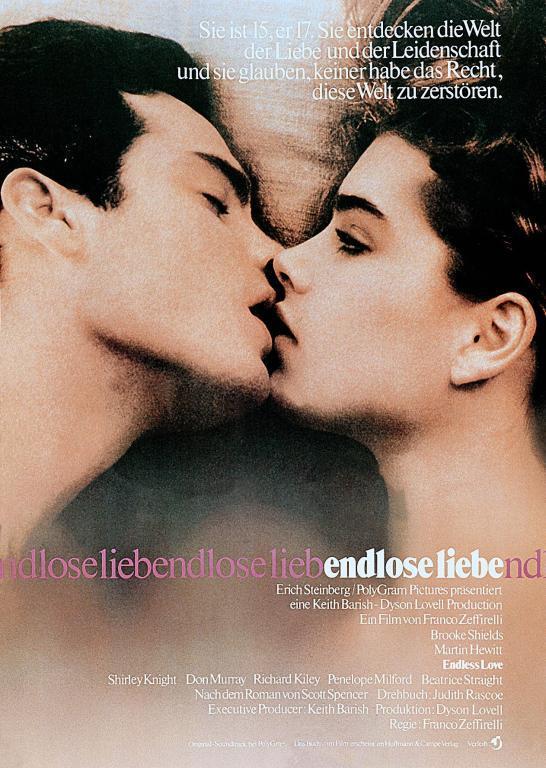 Постер фильма Бесконечная любовь | Endless Love