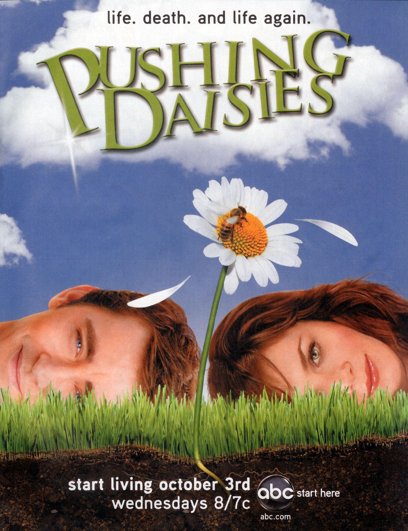 Постер фильма Мертвые до востребования | Pushing Daisies