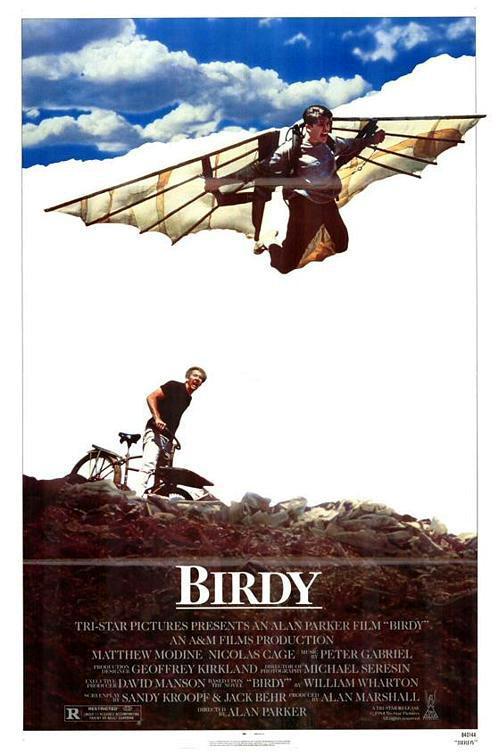 Постер фильма Птаха | Birdy