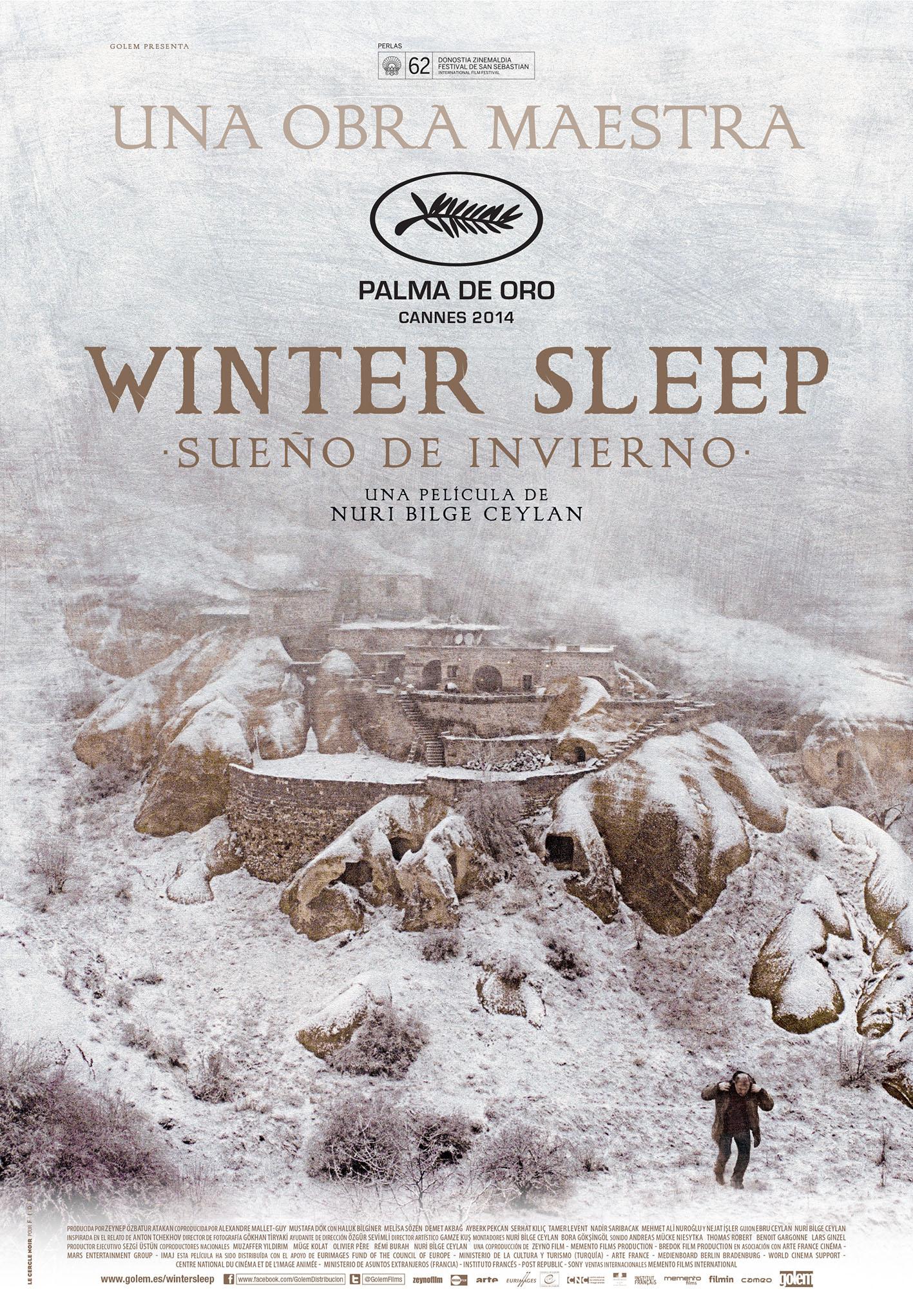 Постер фильма Зимняя спячка | Kis uykusu
