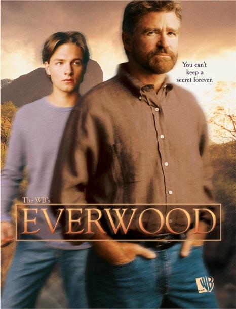Постер фильма Любовь вдовца | Everwood