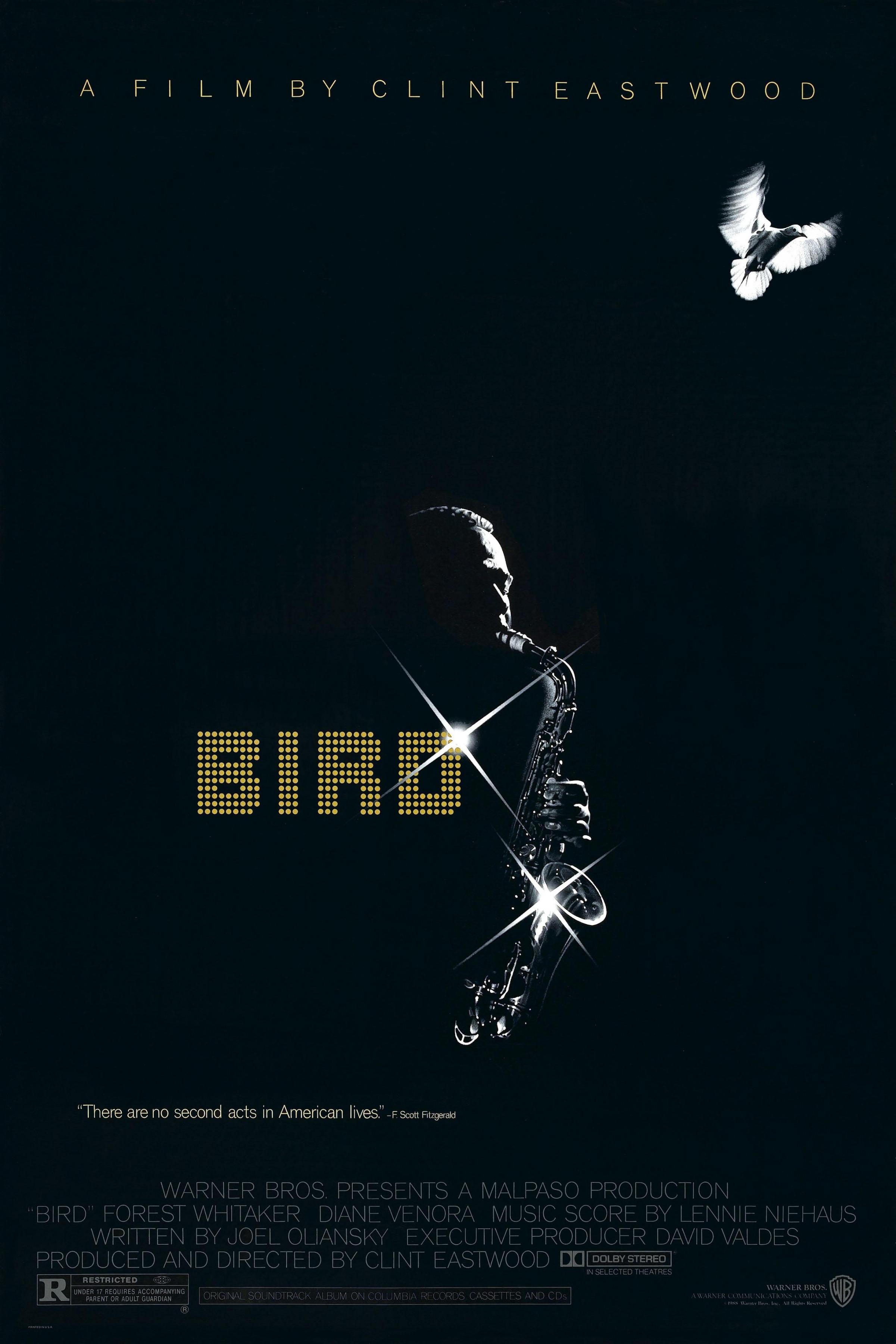 Постер фильма Птица | Bird