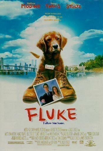 Постер фильма Флюк | Fluke