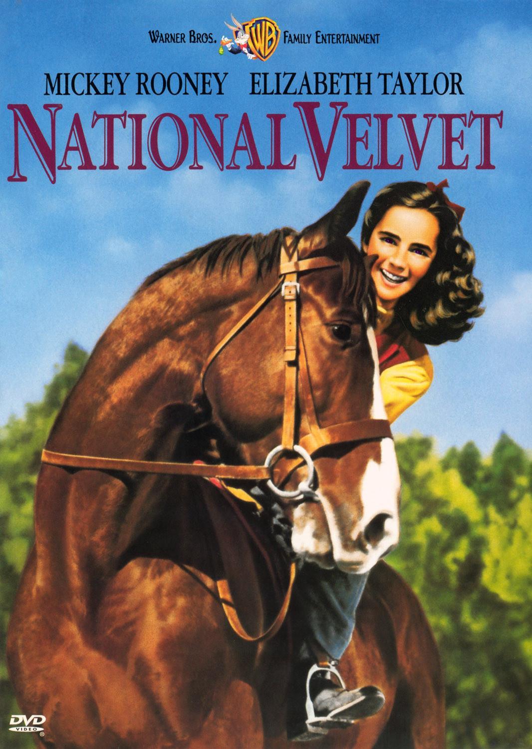 Постер фильма Национальный бархат | National Velvet
