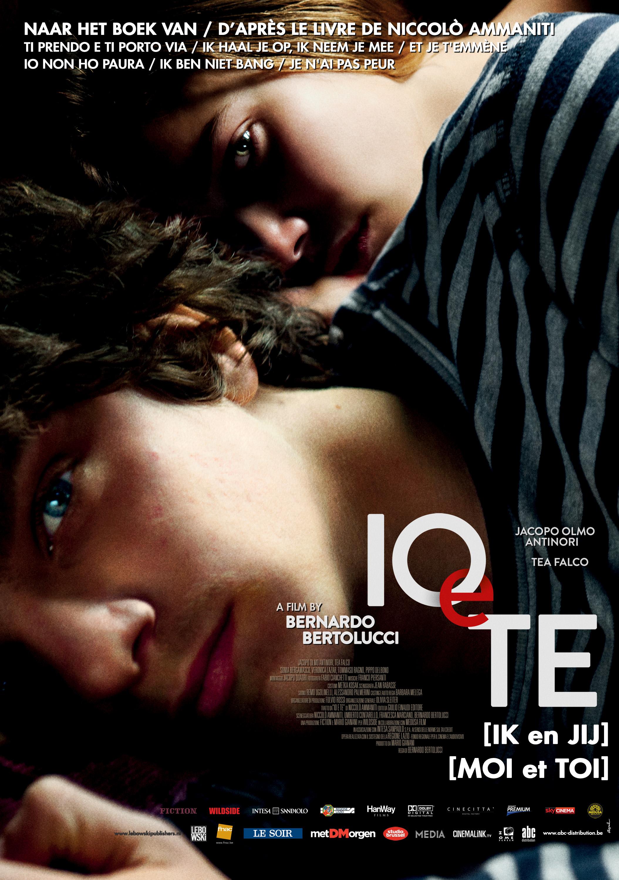 Постер фильма Ты и я | Io e te