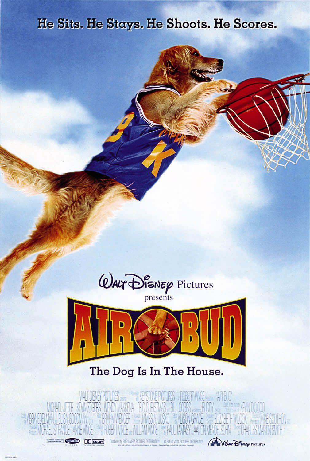 Постер фильма Король воздуха | Air Bud