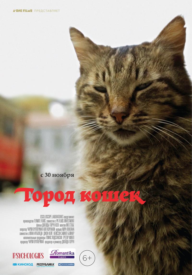 Постер фильма Город кошек | Kedi