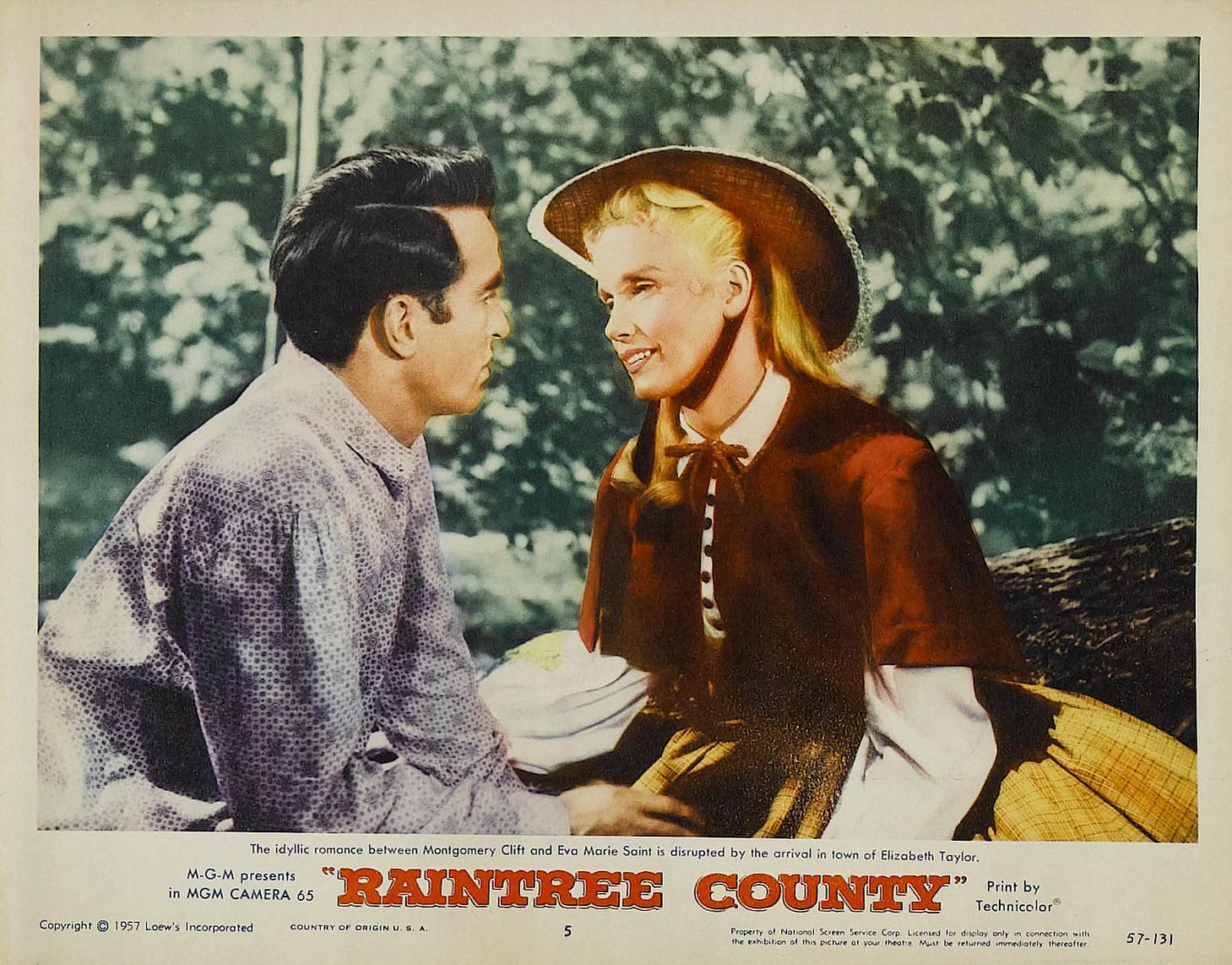 Постер фильма Округ Рэйнтри | Raintree County