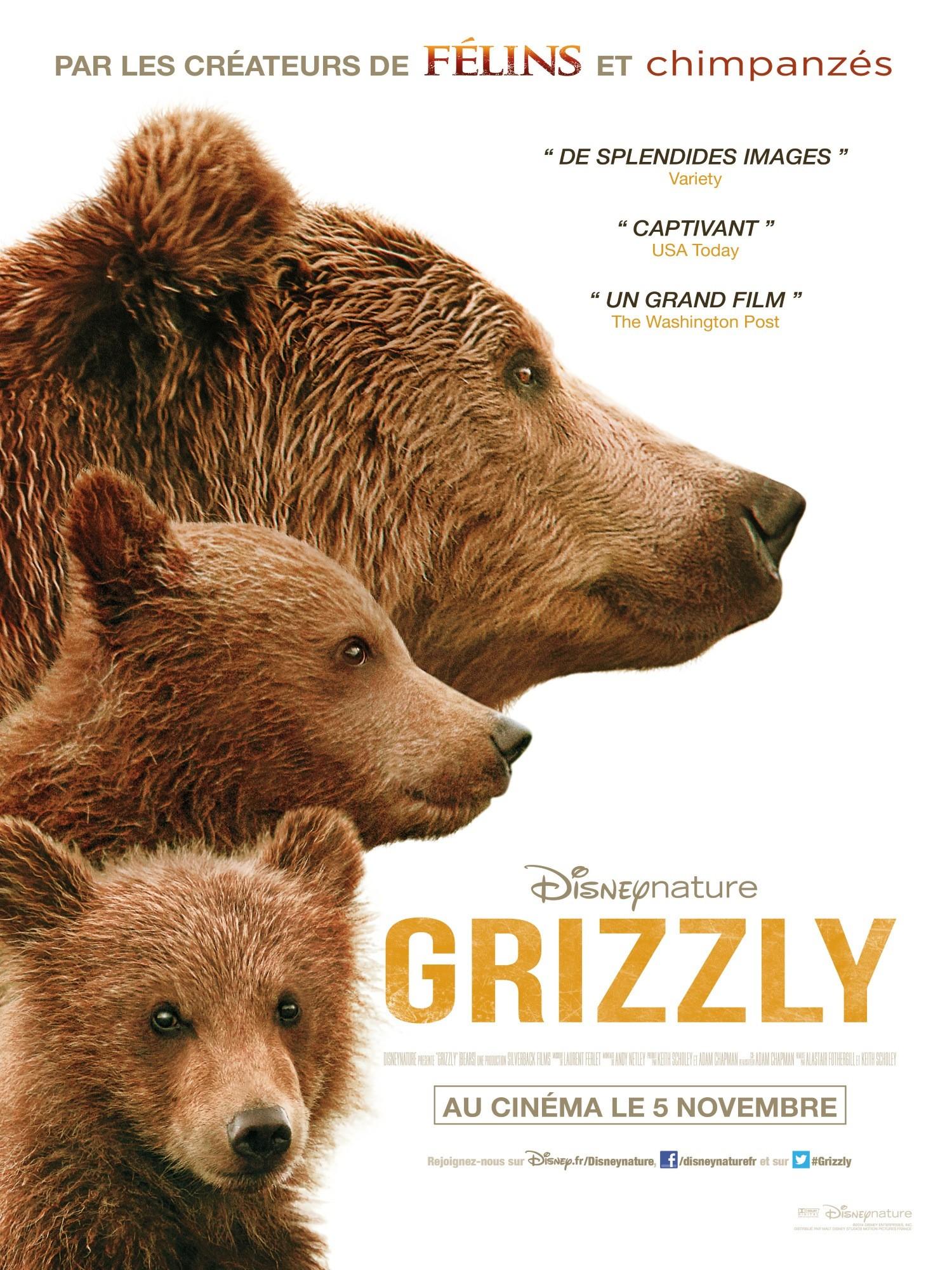 Постер фильма Медведи | Bears