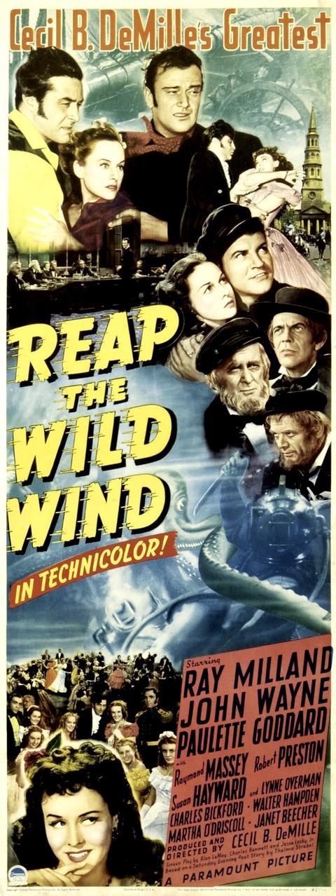 Постер фильма Пожнешь бурю | Reap the Wild Wind
