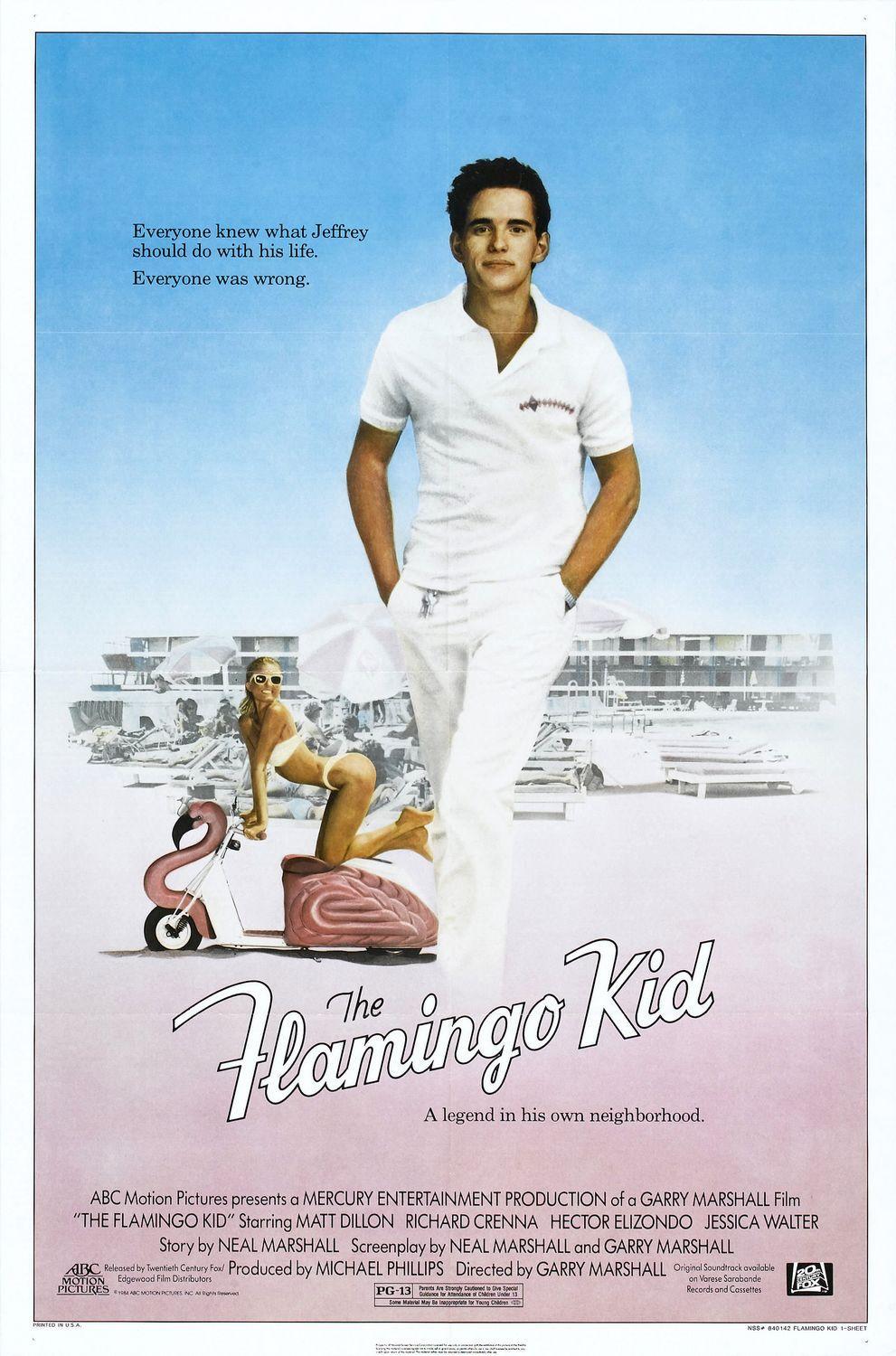 Постер фильма Парнишка из Фламинго | Flamingo Kid