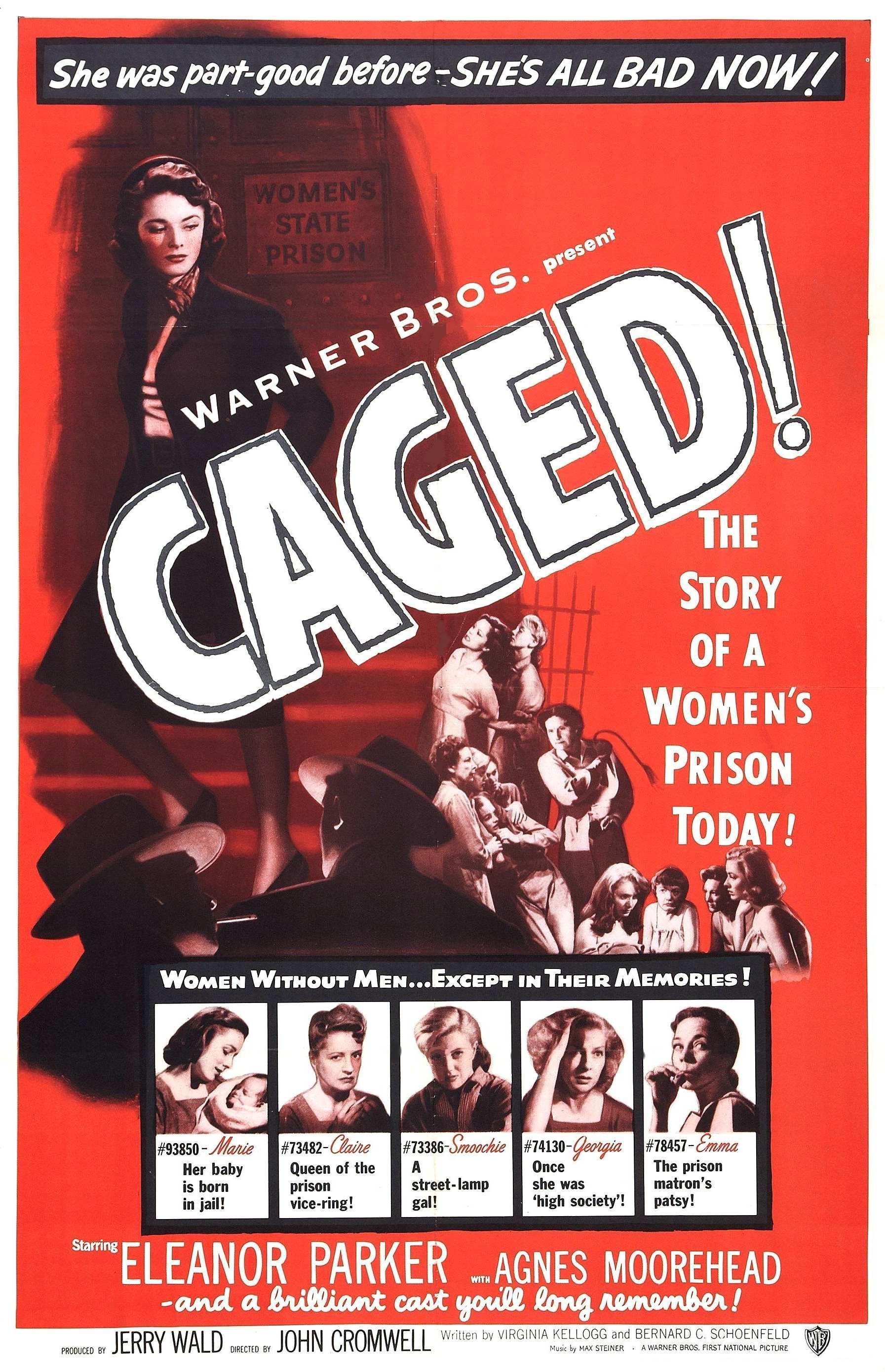 Постер фильма В клетке | Caged