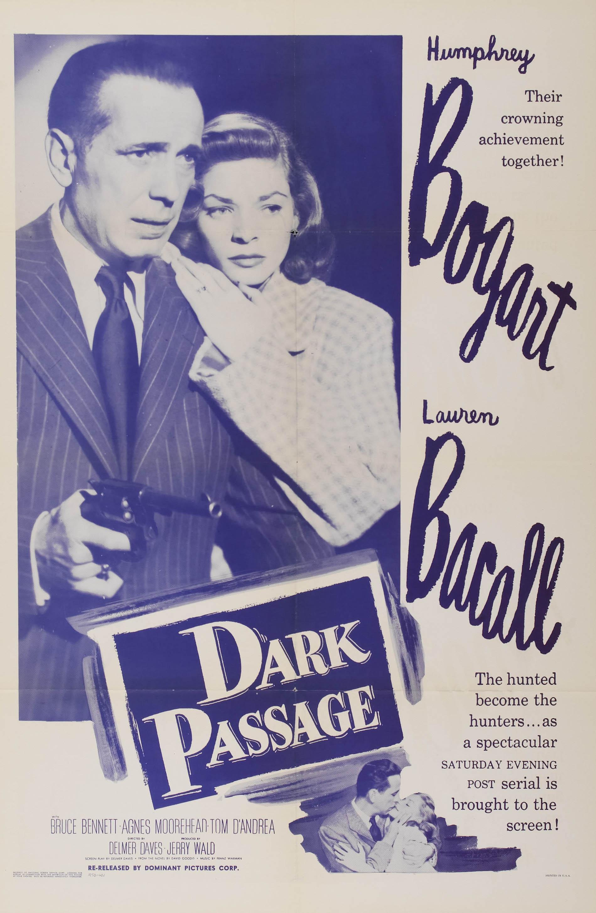 Постер фильма Черная полоса | Dark Passage