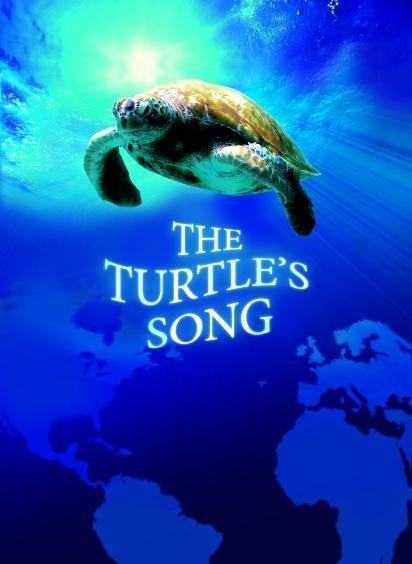 Постер фильма Большое путешествие вглубь океанов 3D: Возвращение | Turtle: The Incredible Journey