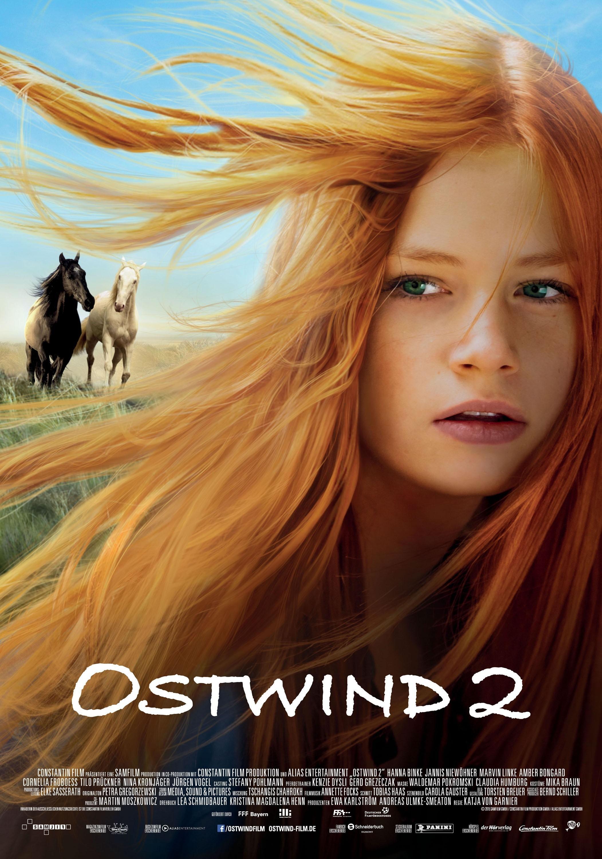 Постер фильма Восточный ветер 2 | Ostwind 2