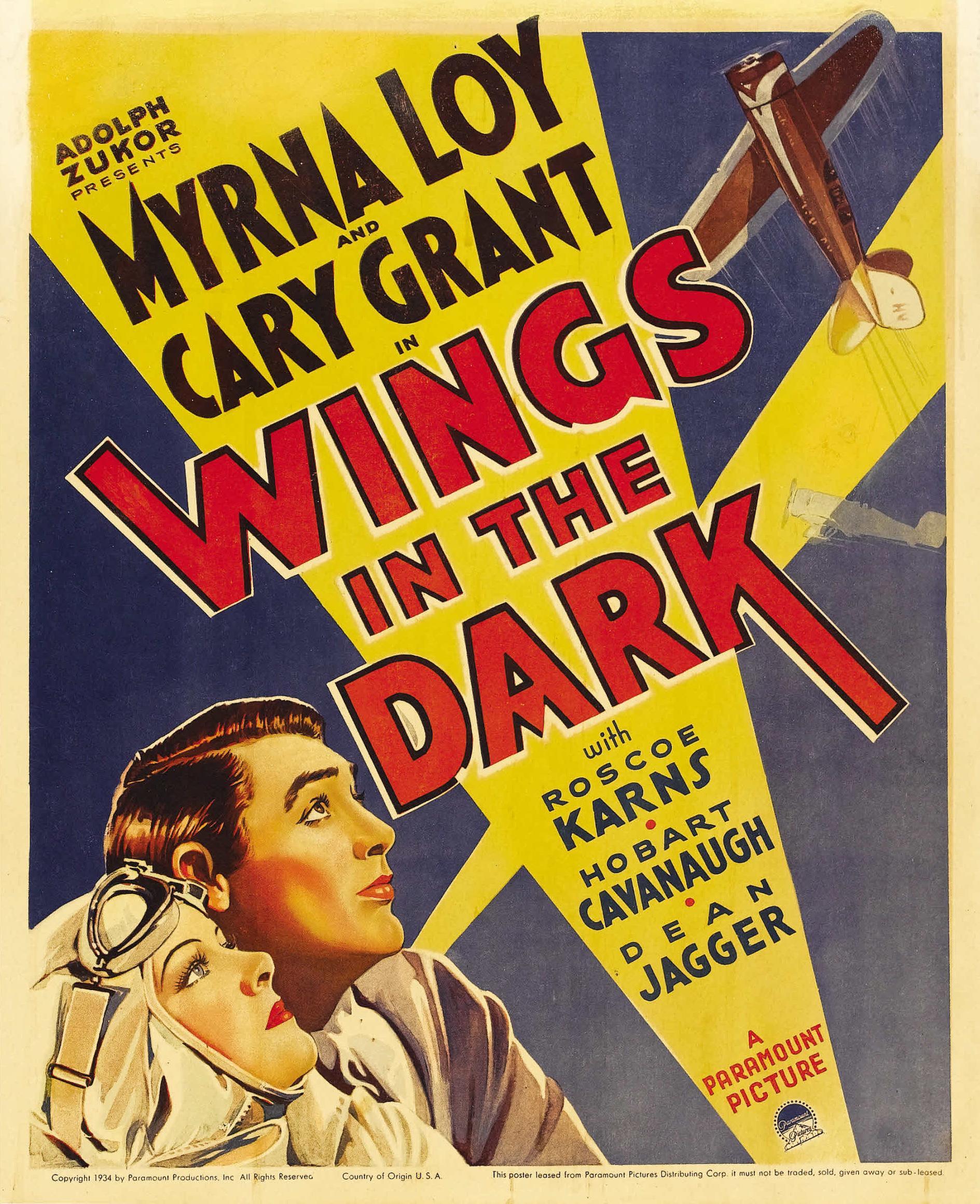 Постер фильма Крылья во тьме | Wings in the Dark