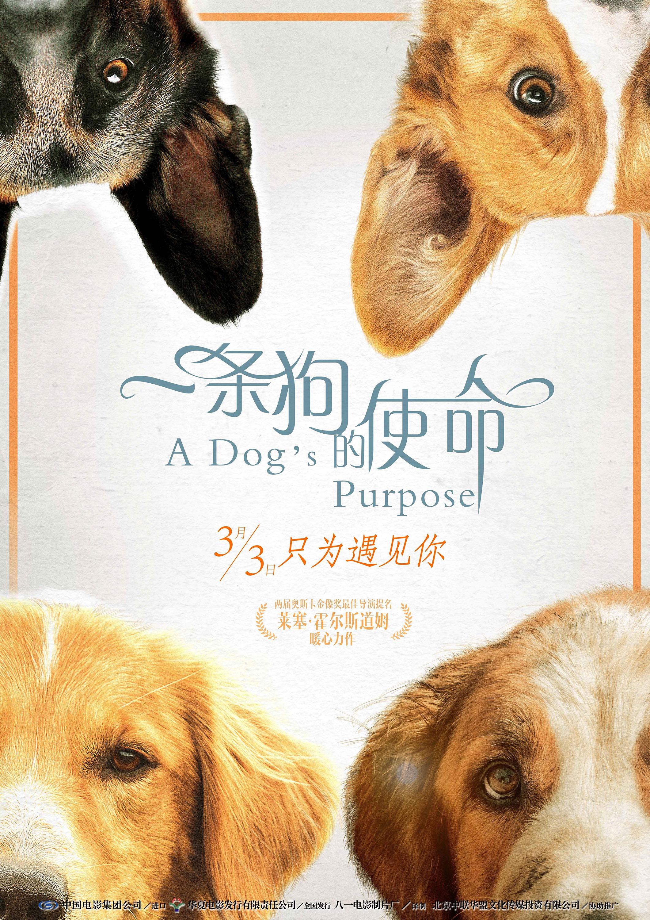 Постер фильма Собачья жизнь | Dog's Purpose