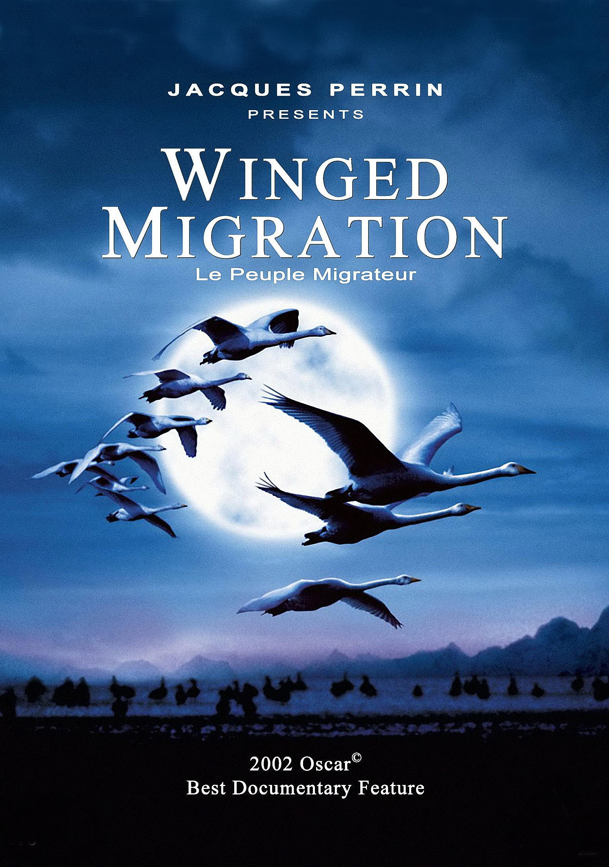 Постер фильма Птицы | peuple migrateur
