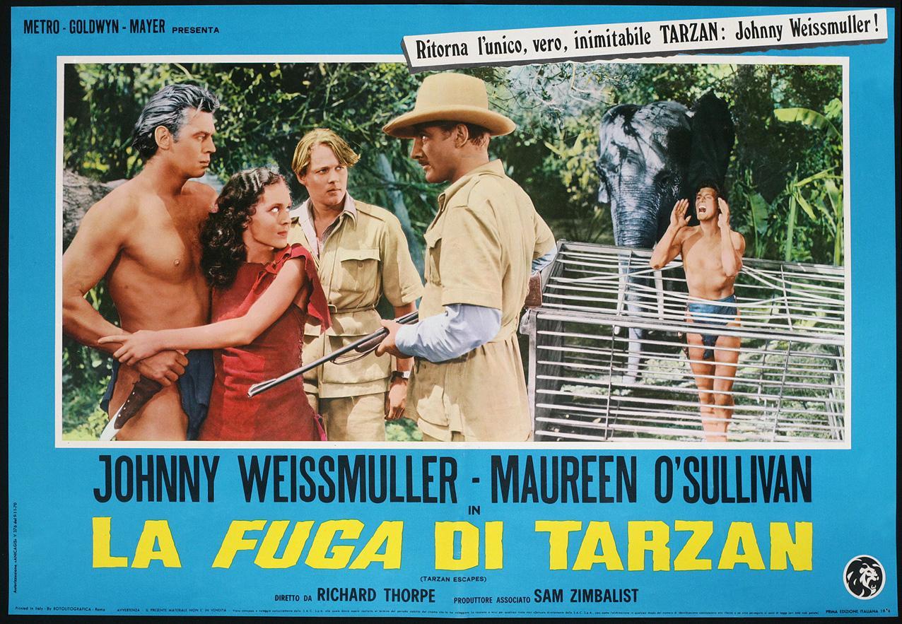 Постер фильма Спасение Тарзана | Tarzan Escapes