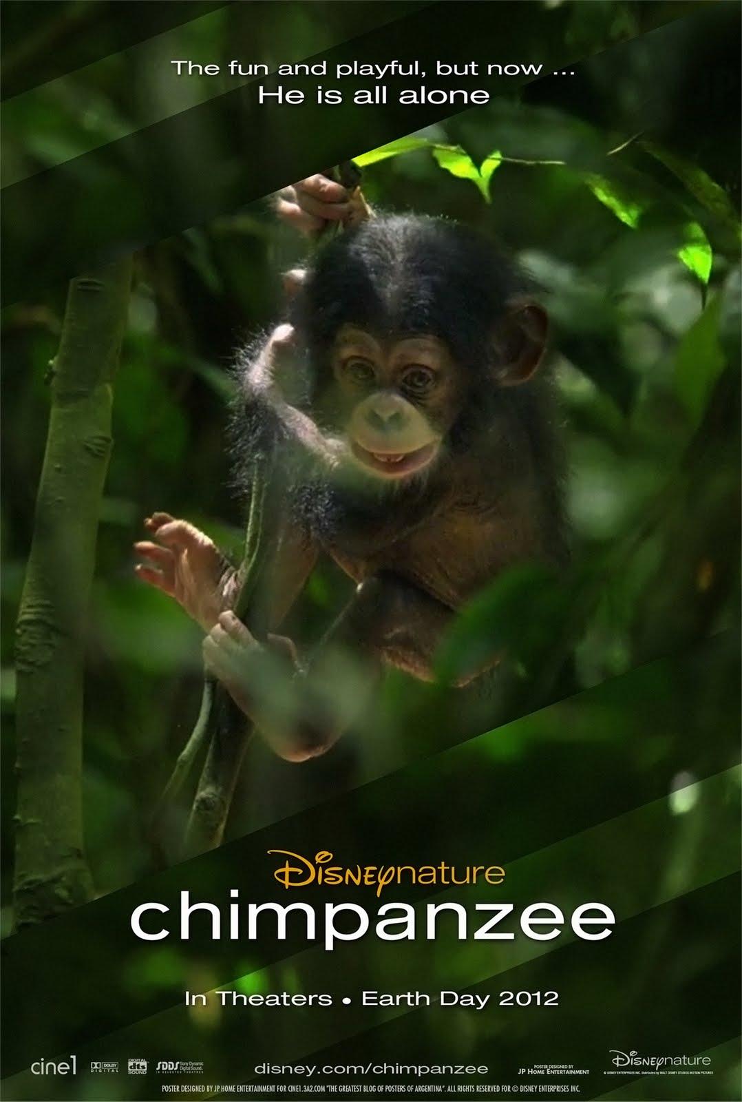 Постер фильма Шимпанзе | Chimpanzee