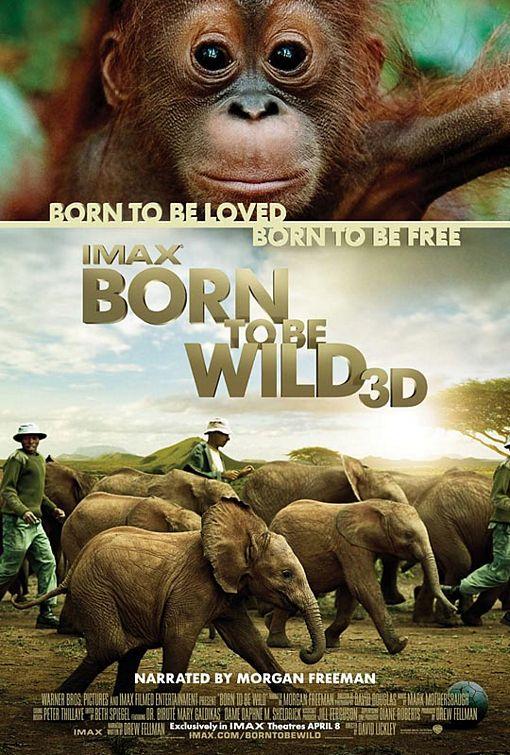 Постер фильма Рожденные на воле | Born to Be Wild
