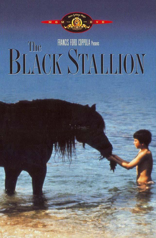 Постер фильма Черный скакун | Black Stallion