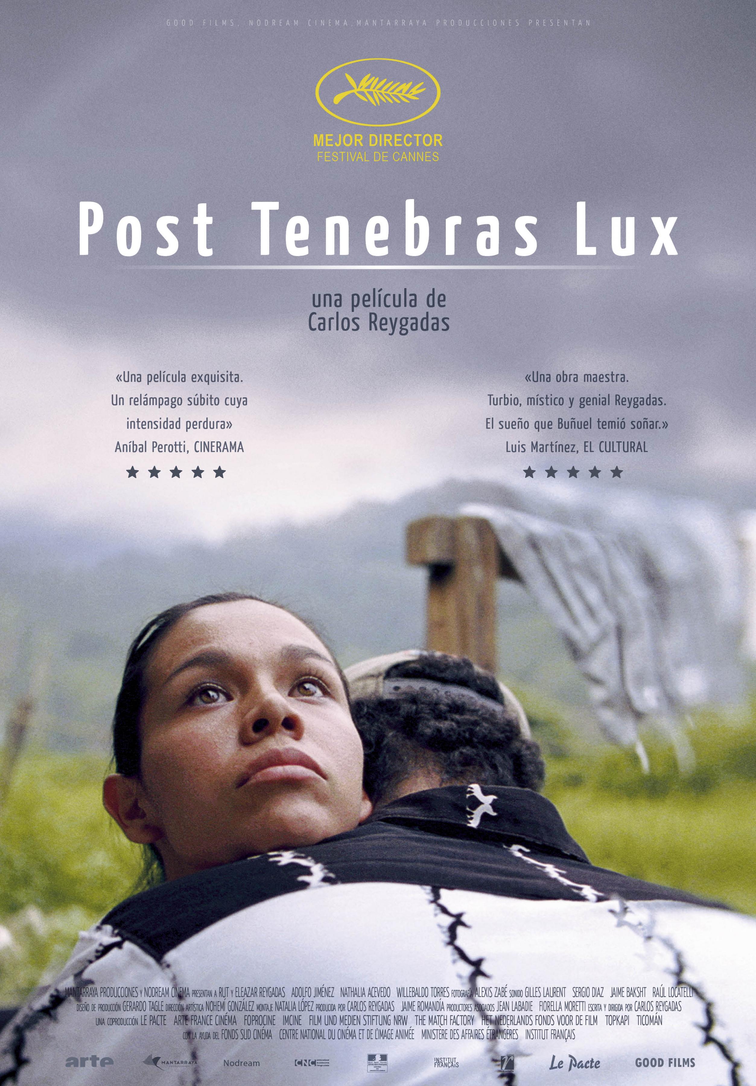 Постер фильма После мрака свет | Post Tenebras Lux