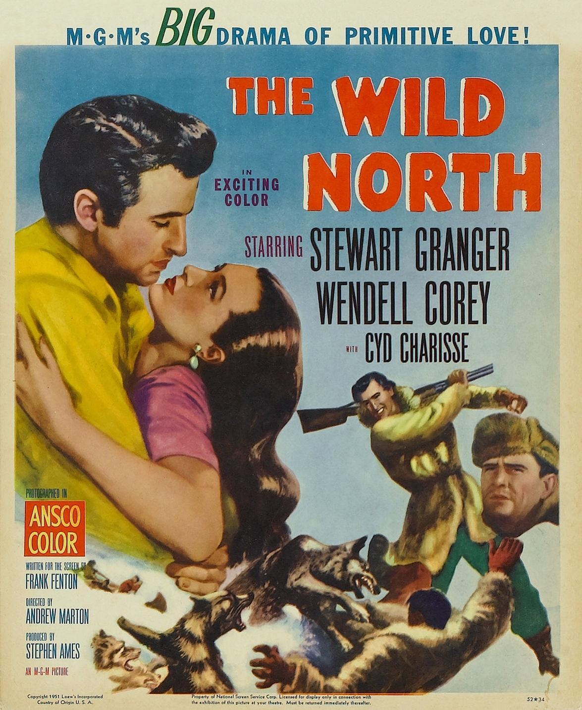 Постер фильма Wild North