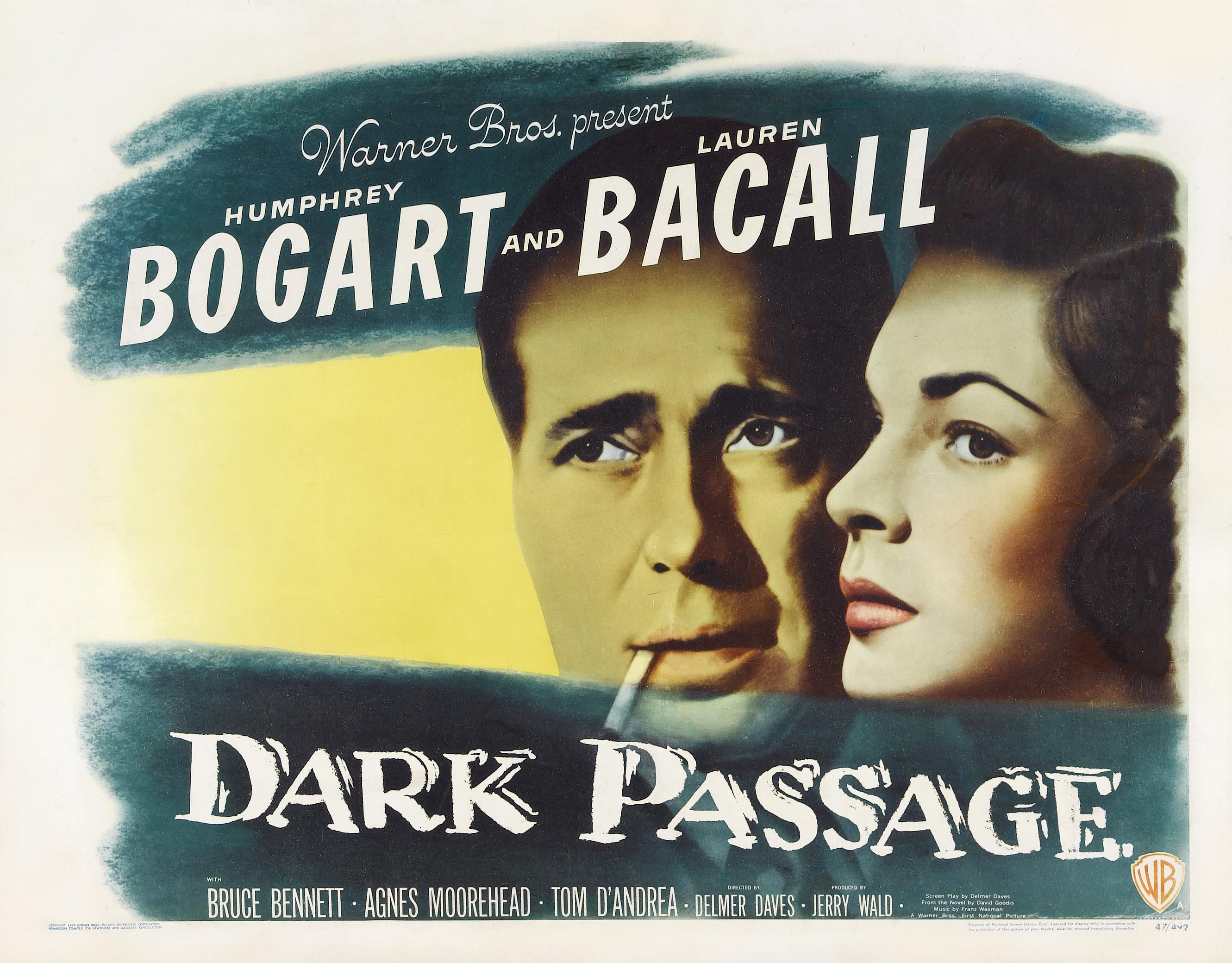 Постер фильма Черная полоса | Dark Passage