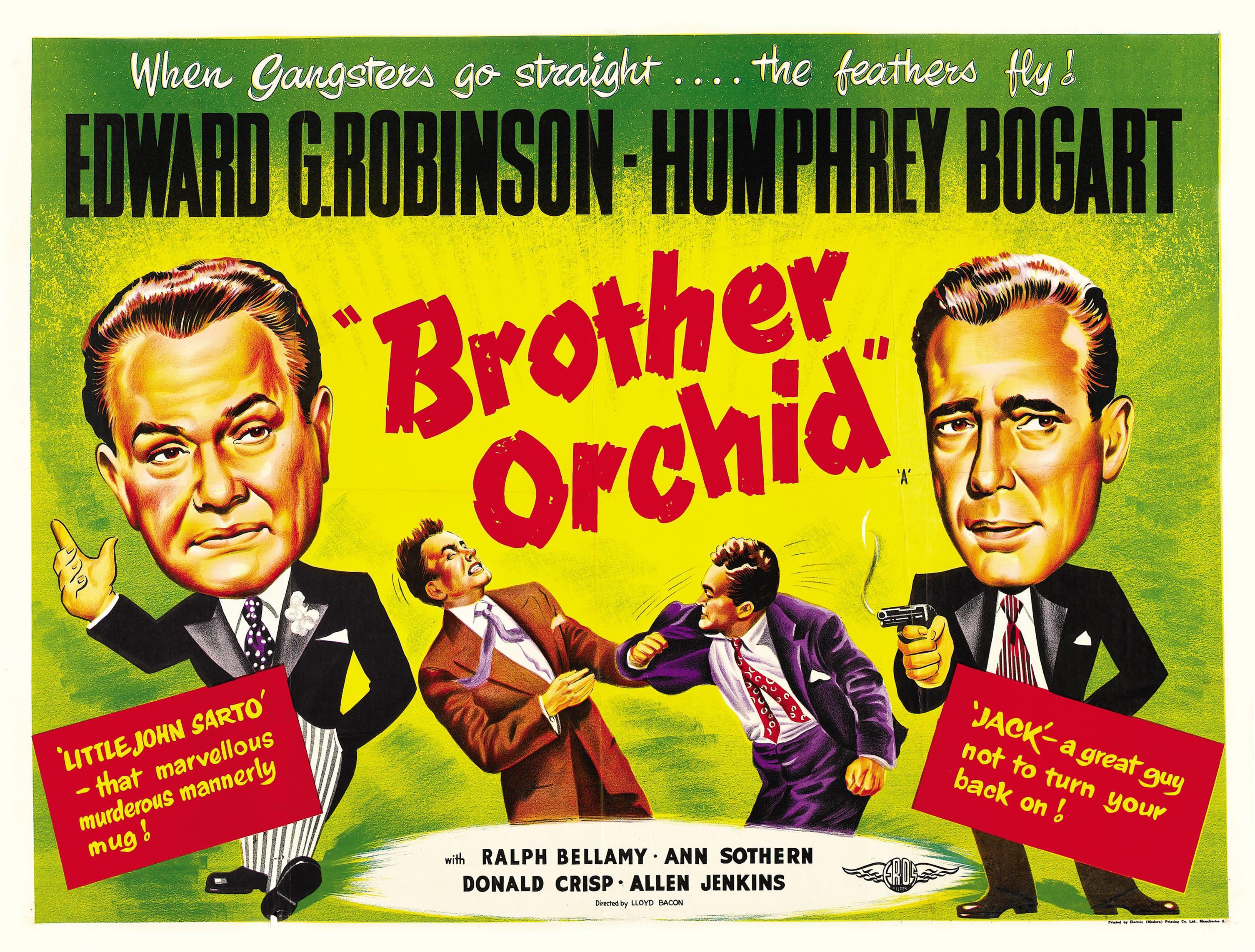 Постер фильма Орхидея брата | Brother Orchid