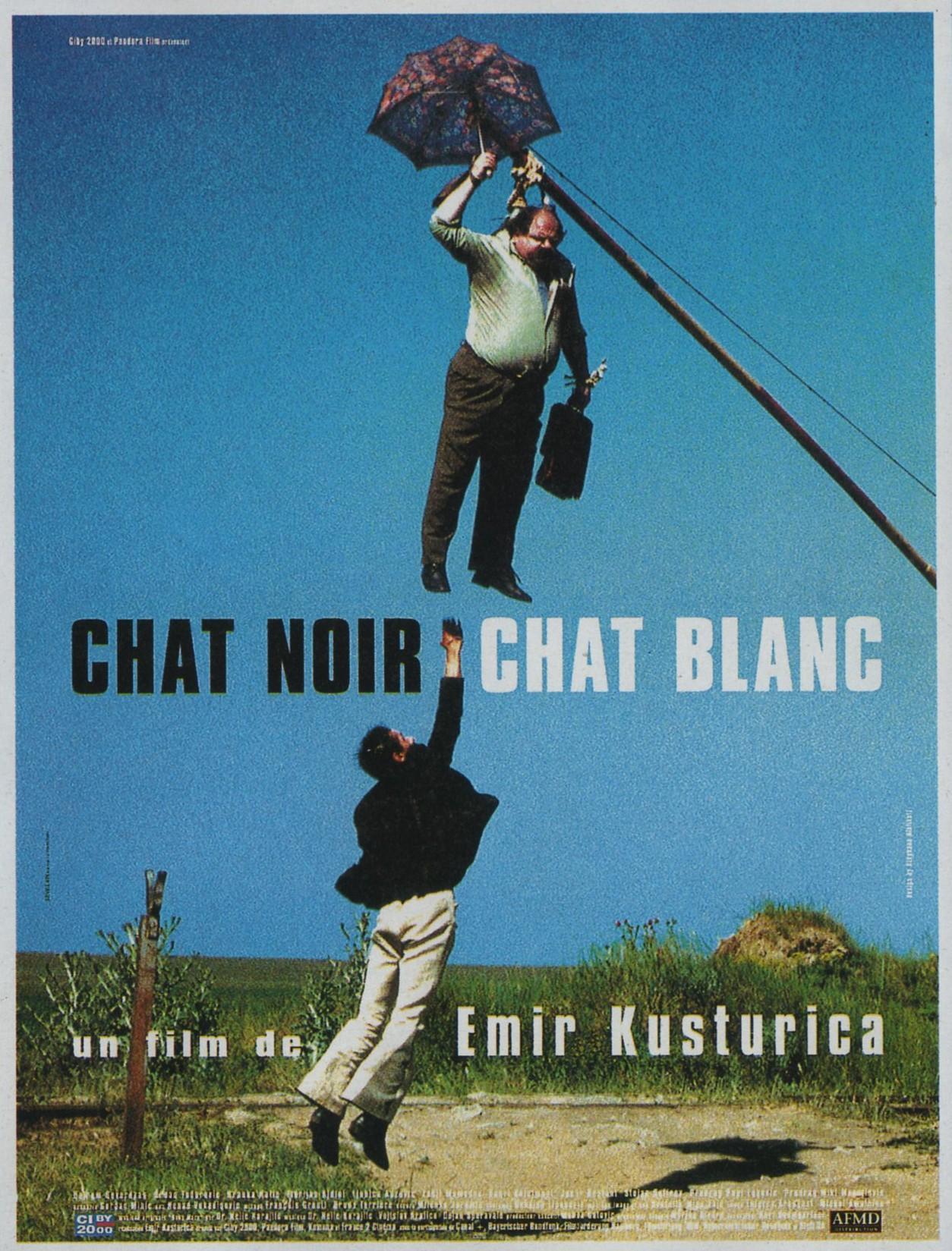 Постер фильма Черная кошка, белый кот | Crna macka, beli macor