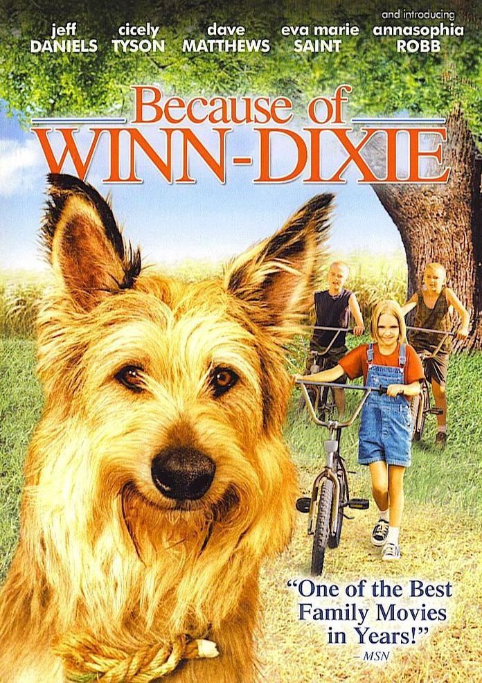Постер фильма Благодаря Винн Дикси | Because of Winn-Dixie