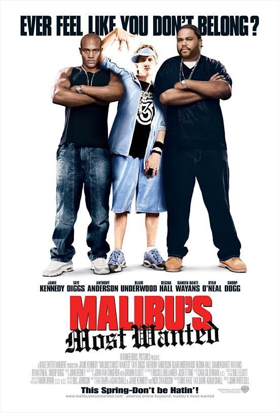 Постер фильма Разыскиваются в Малибу | Malibu's Most Wanted