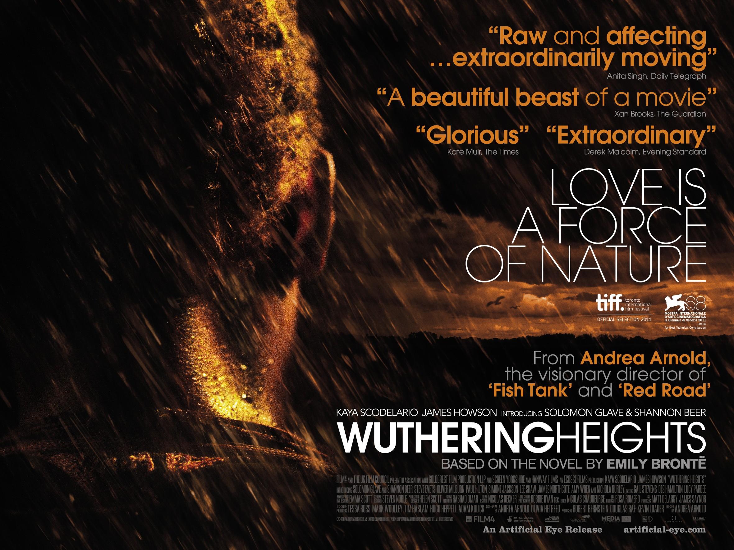 Постер фильма Грозовой перевал | Wuthering Heights
