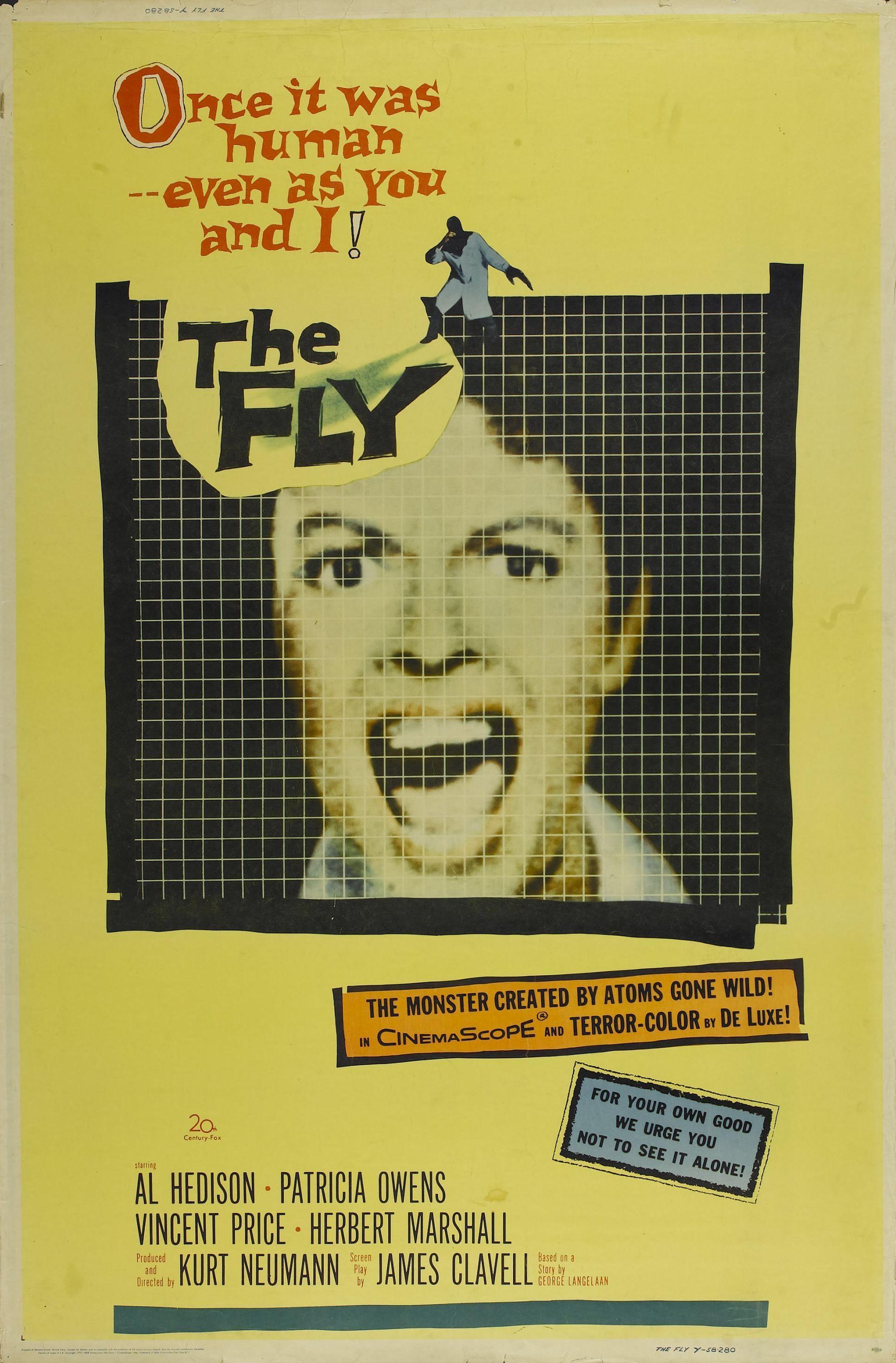 Постер фильма Муха | Fly