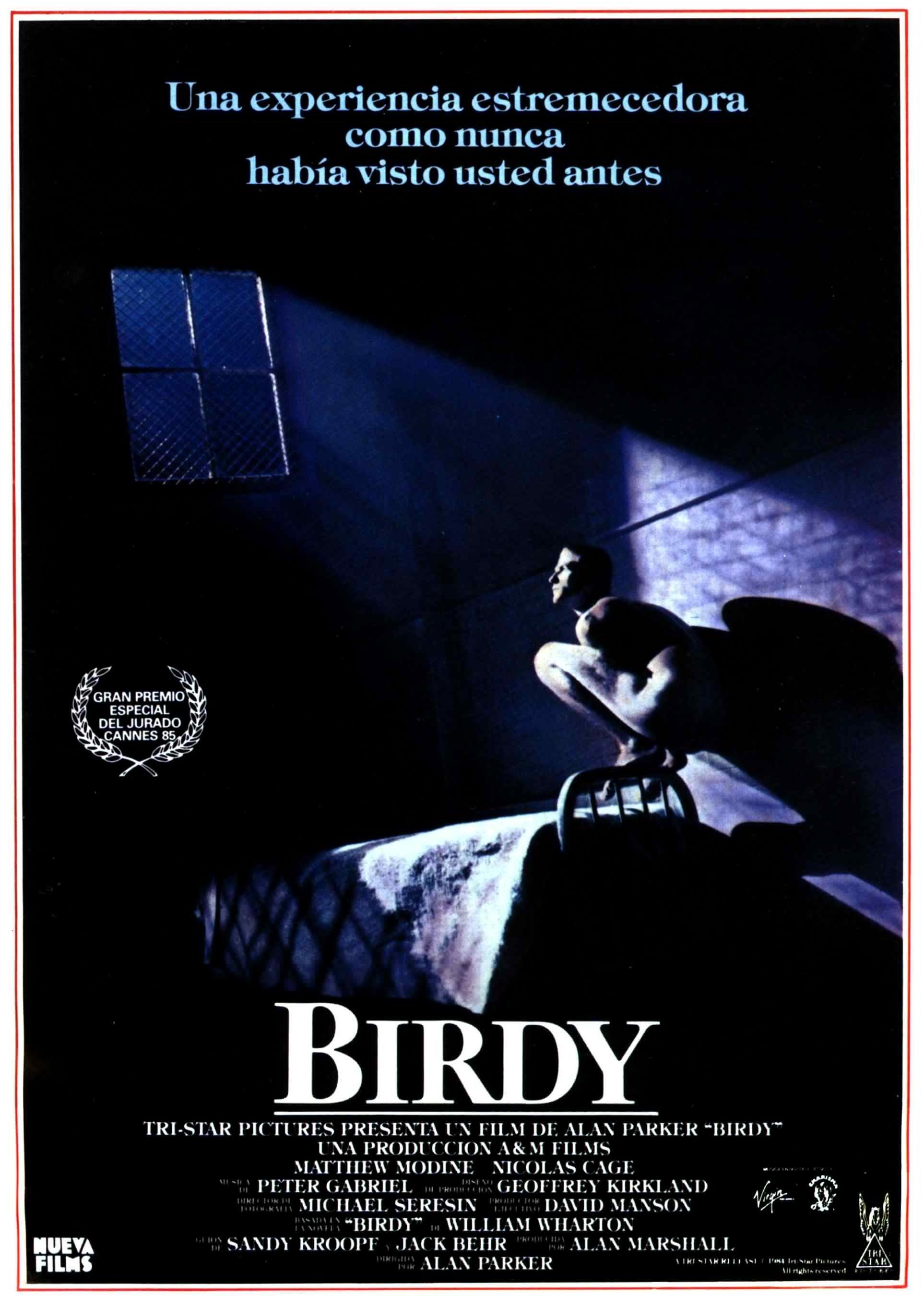 Постер фильма Птаха | Birdy