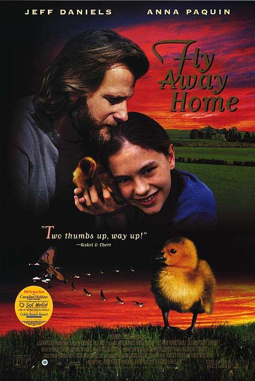 Постер фильма Летите домой | Fly Away Home