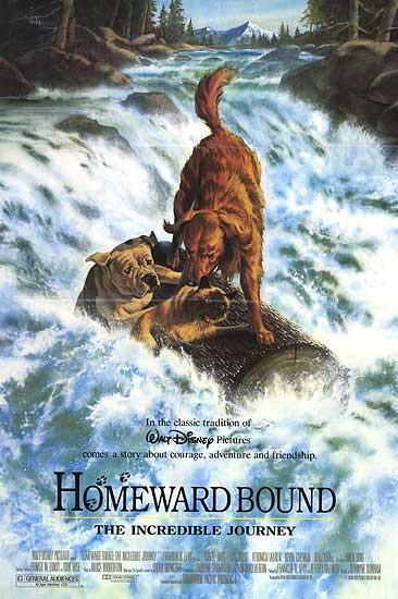 Постер фильма Дорога домой: Невероятное путешествие | Homeward Bound: The Incredible Journey