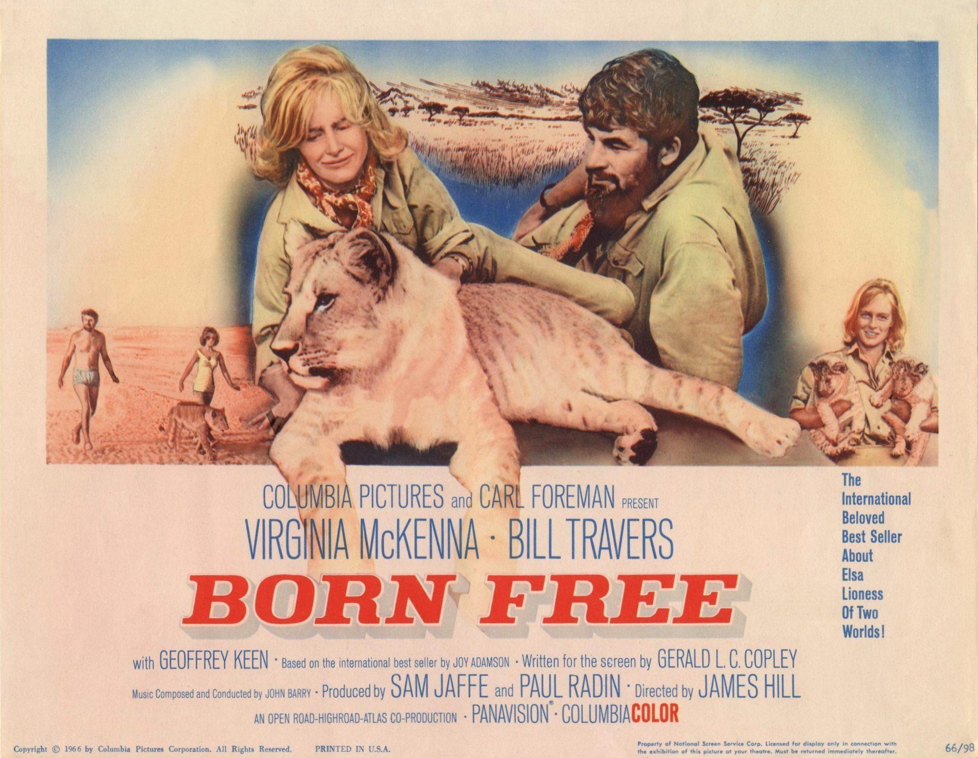 Постер фильма Born Free
