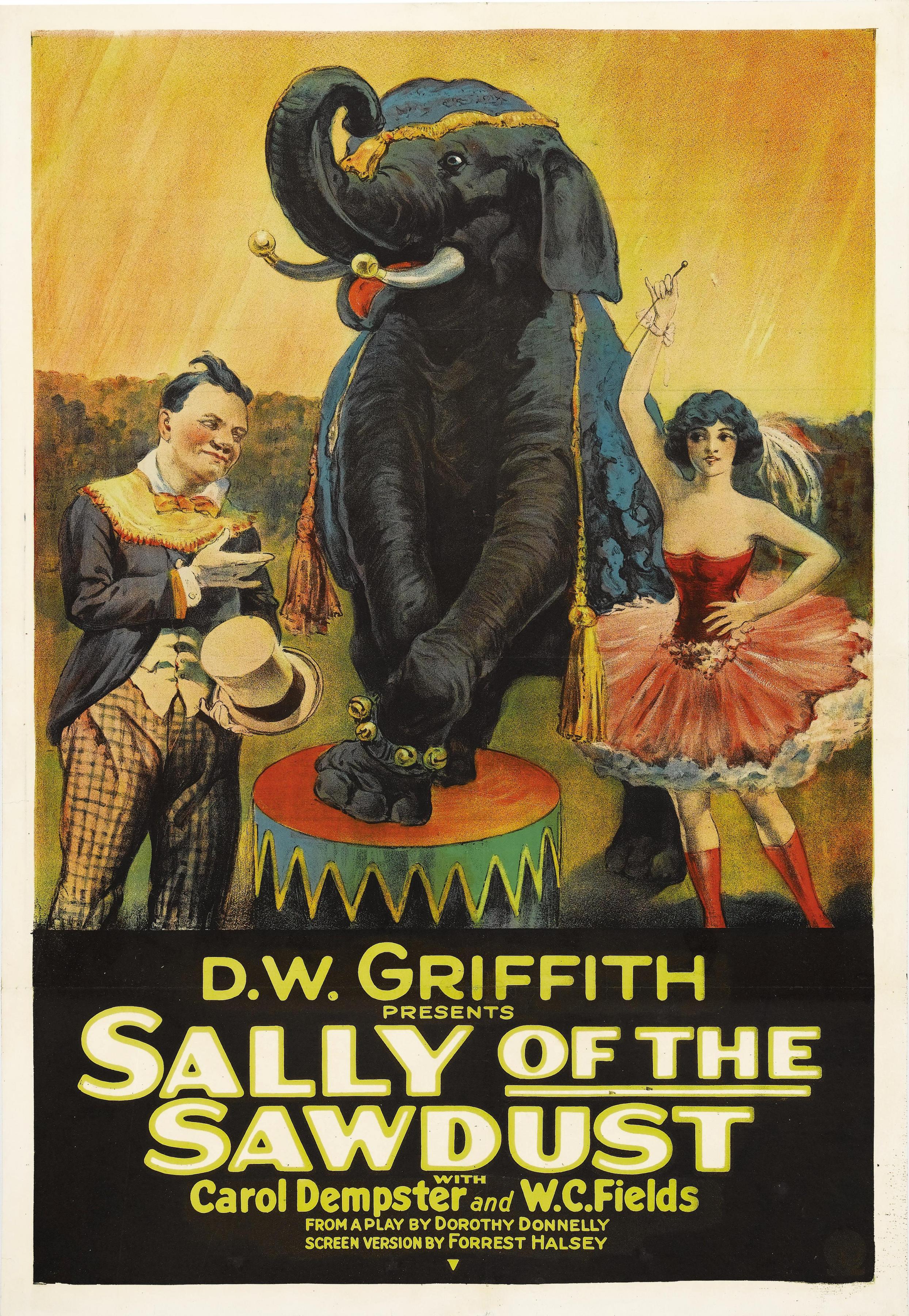 Постер фильма Sally of the Sawdust