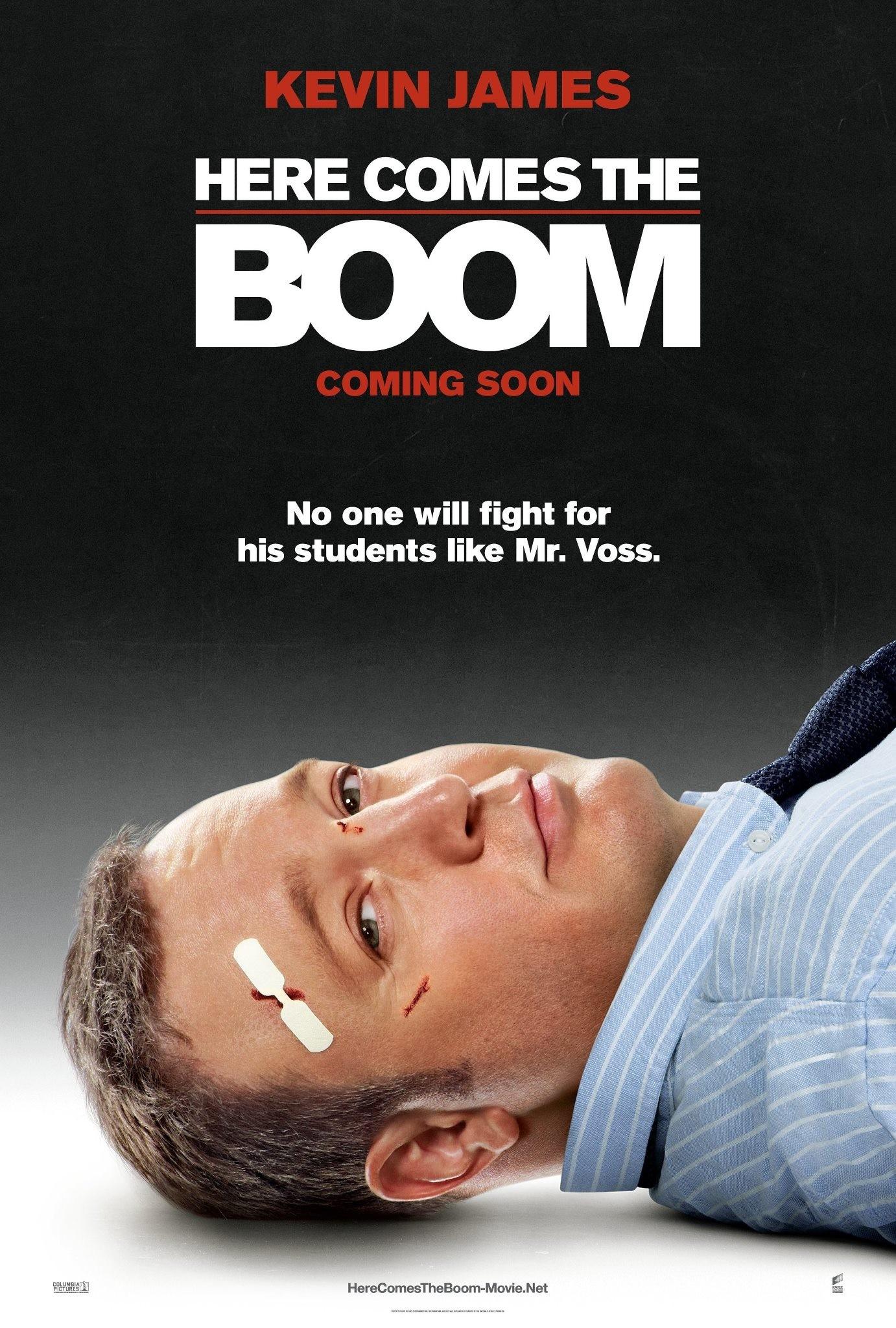 Постер фильма Толстяк на ринге | Here Comes the Boom