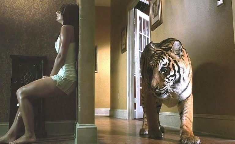 Кадр из фильма "Во власти тигра"