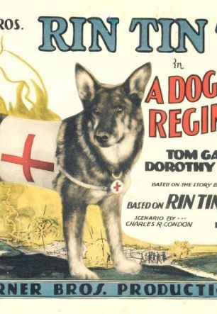Dog of the Regiment