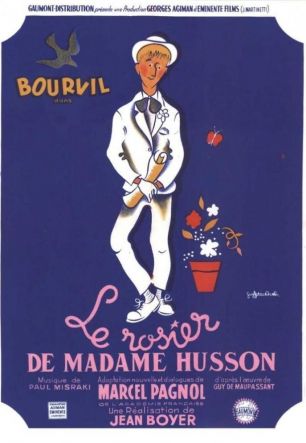rosier de Madame Husson