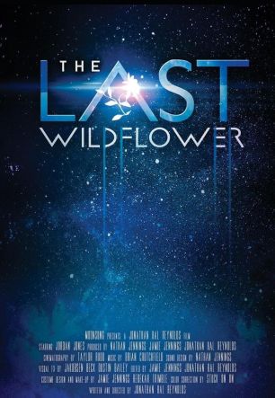 Last Wildflower