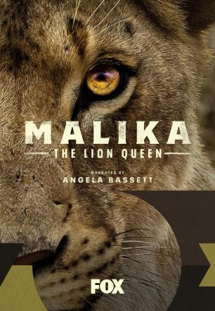 Малика, королева львов