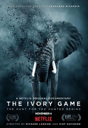 Ivory Game